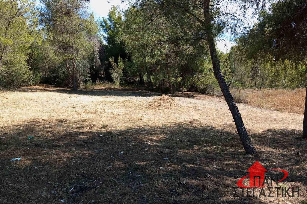 Οικόπεδο 540 τ.μ. πρός πώληση, Βοιωτία, Σχηματάρι
