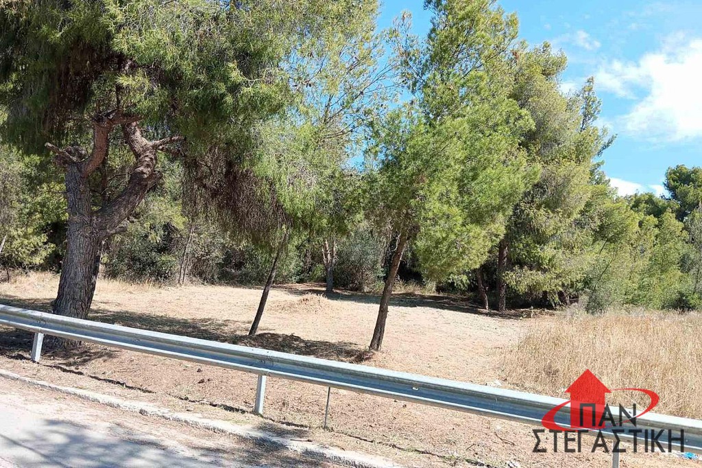 Οικόπεδο 540 τ.μ. πρός πώληση, Βοιωτία, Σχηματάρι