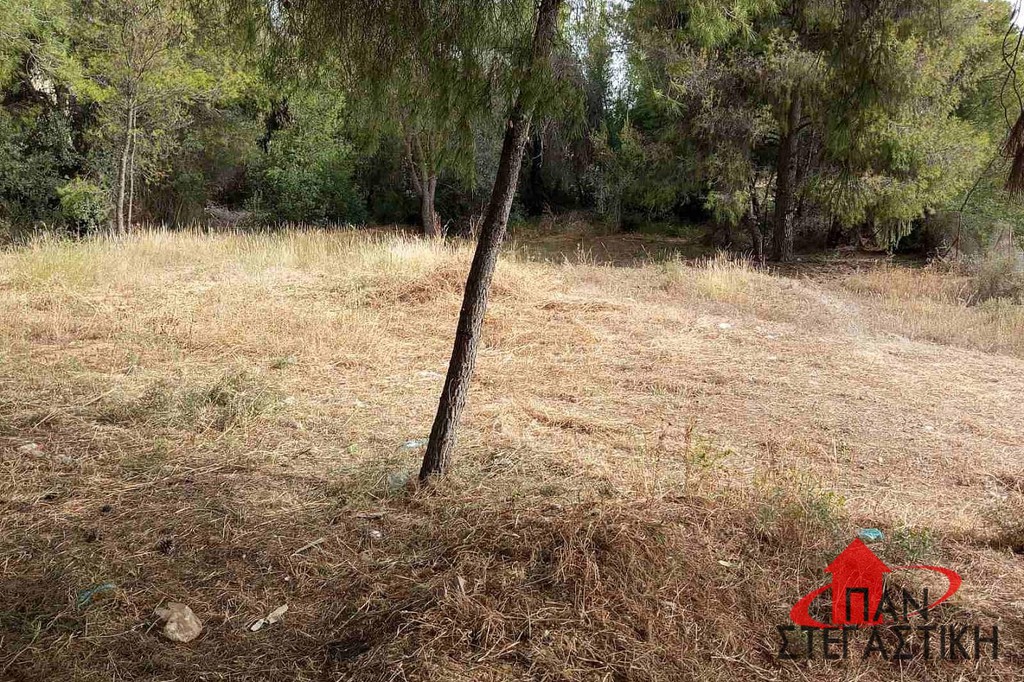 Οικόπεδο 540 τ.μ. πρός πώληση, Βοιωτία, Σχηματάρι