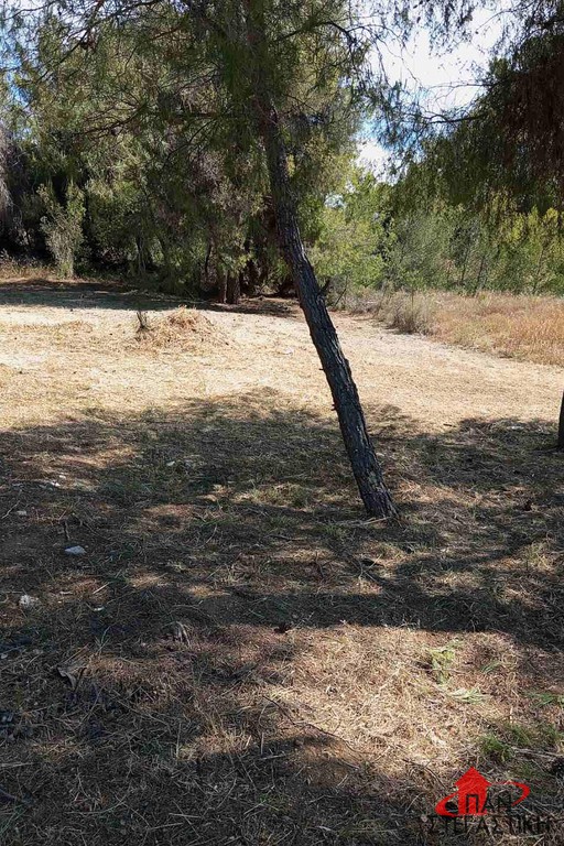 Οικόπεδο 540 τ.μ. πρός πώληση, Βοιωτία, Σχηματάρι