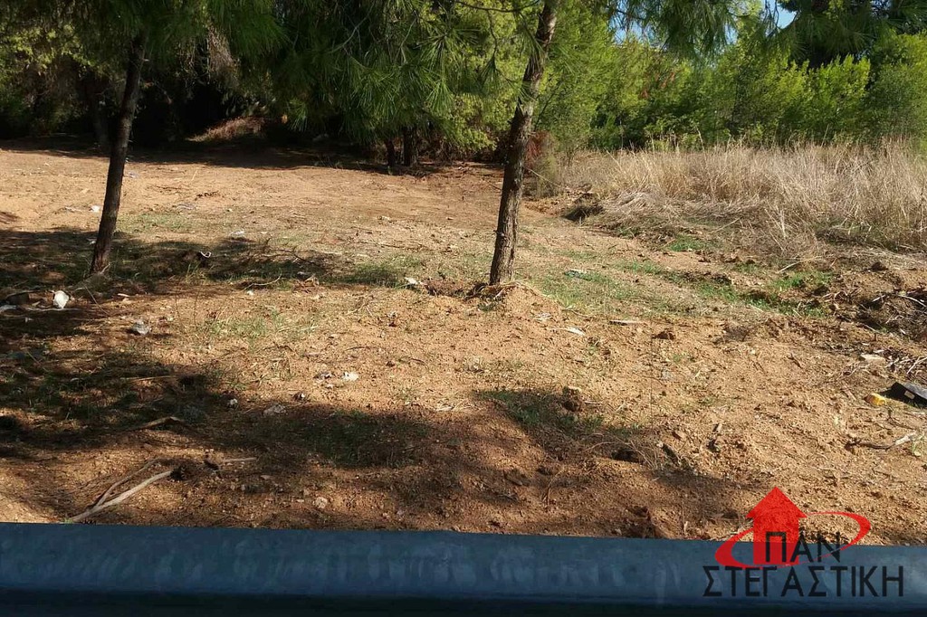 Οικόπεδο 540 τ.μ. πρός πώληση, Βοιωτία, Σχηματάρι