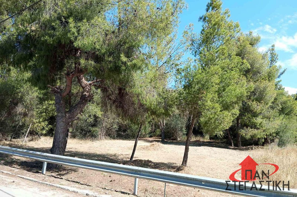Οικόπεδο 540 τ.μ. πρός πώληση, Βοιωτία, Σχηματάρι