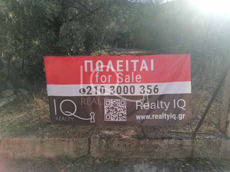 Οικόπεδο 230,25τ.μ. για πώληση-Σαλαμίνα