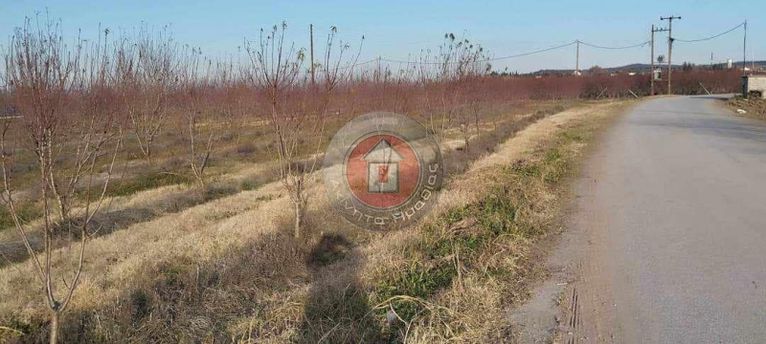 Αγροτεμάχια 8.000 τ.μ. για πώληση, Ημαθία, Μελίκη
