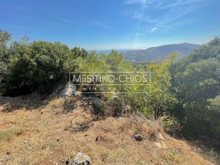 Οικόπεδο 1.069 τ.μ. προς πώληση, Ομηρούπολη-thumb-5