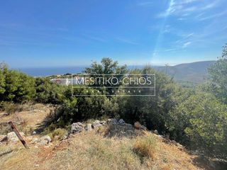 Οικόπεδο 1.069 τ.μ. προς πώληση, Ομηρούπολη-thumb-4