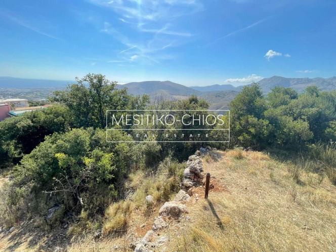 Οικόπεδο 1.069 τ.μ. προς πώληση, Ομηρούπολη