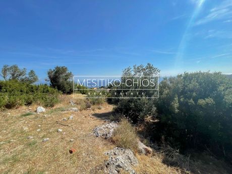 Οικόπεδο 1.069τ.μ. για πώληση-Χίος » Ομηρούπολη