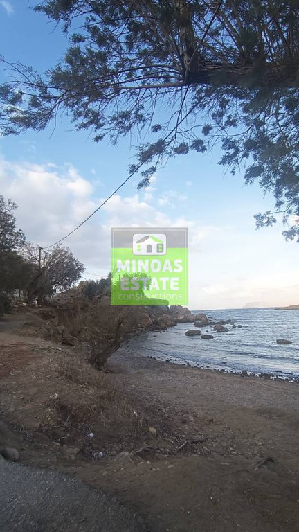 Κατάστημα 180 τ.μ. προς πώληση, Άγιοι Απόστολοι Νέας Κυδωνίας