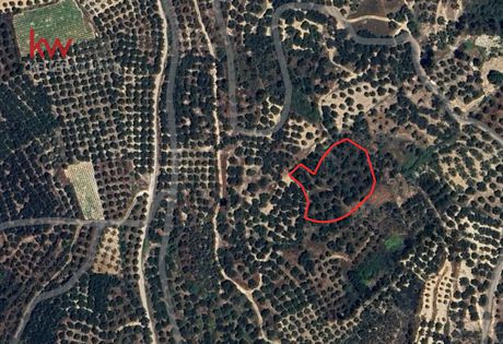 Αγροτεμάχια 3.830,44τ.μ. για πώληση-Μυθήμνη
