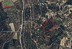 Parcel 3.830,44sqm for sale-Mithimni