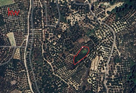 Αγροτεμάχια 1.793,78τ.μ. για πώληση-Μυθήμνη