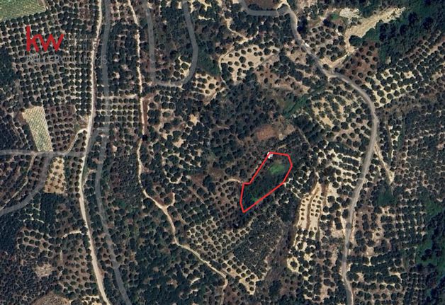Parcel 1.793,78 sqm for sale, Chania Prefecture, Mithimni