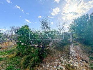 Οικόπεδο 3.305,46 τ.μ. για πώληση, Ν. Χίου, Χίος-thumb-15