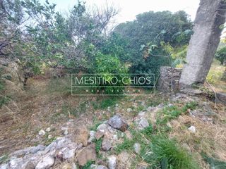 Οικόπεδο 3.305,46 τ.μ. για πώληση, Ν. Χίου, Χίος-thumb-5