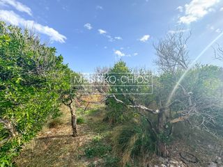 Οικόπεδο 3.305,46 τ.μ. για πώληση, Ν. Χίου, Χίος-thumb-13