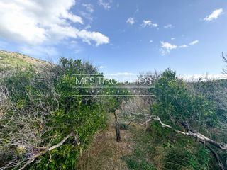 Οικόπεδο 3.305,46 τ.μ. για πώληση, Ν. Χίου, Χίος-thumb-14