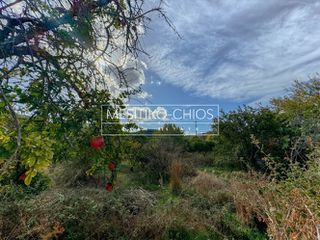 Οικόπεδο 3.305,46 τ.μ. για πώληση, Ν. Χίου, Χίος-thumb-10