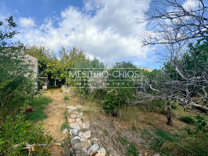 Οικόπεδο 3.305,46 τ.μ. προς πώληση, Ν. Χίου, Χίος