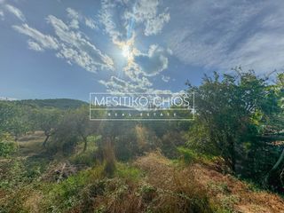 Οικόπεδο 3.305,46 τ.μ. για πώληση, Ν. Χίου, Χίος-thumb-1