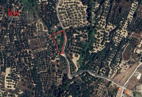 Αγροτεμάχια 1.453,97τ.μ. για πώληση-Μυθήμνη