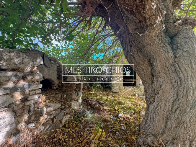 Οικόπεδο 2.121,97 τ.μ. προς πώληση, Καρδάμυλα