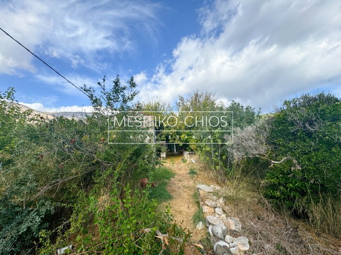 Οικόπεδο 2.121,97 τ.μ. προς πώληση, Καρδάμυλα