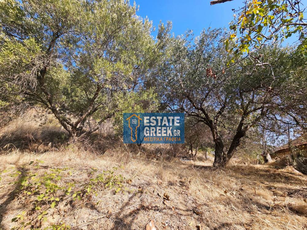 Μονοκατοικία 150 τ.μ. προς πώληση, Ν. Καβάλας, Ελευθερές