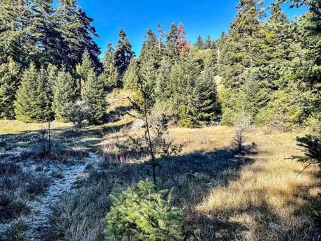 Land plot 6.775sqm for sale-Parnassos
