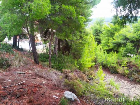 Οικόπεδο 1.023τ.μ. για πώληση-Μαλεσίνα » Θεολόγος