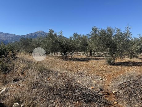 Αγροτεμάχια 13.000τ.μ. για πώληση-Λύρκεια » Φρέγκαινα