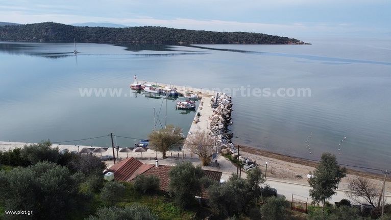 Κατάστημα 192 τ.μ. για πώληση, Μαγνησία, Σηπιάδα