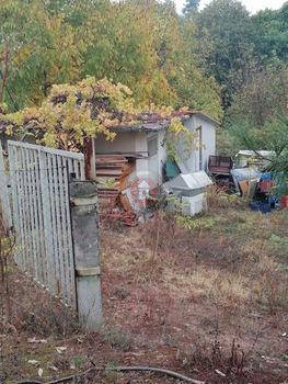 Αγροτεμάχια 8.000τ.μ. για πώληση-Βέροια » Αγία βαρβάρα