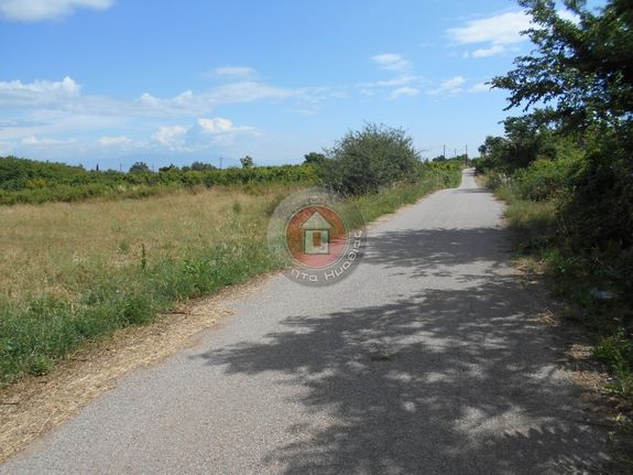 Land plot 6.000 sqm for sale, Imathia, Veroia