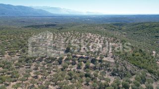 Αγροτεμάχια 48.015,73 τ.μ. για πώληση, Μεσσηνία, Ιθώμης-thumb-4
