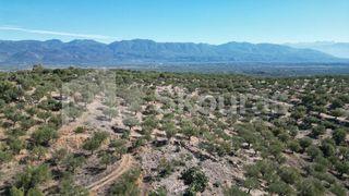Αγροτεμάχια 48.015,73 τ.μ. για πώληση, Μεσσηνία, Ιθώμης-thumb-11