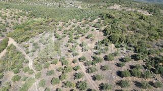 Αγροτεμάχια 48.015,73 τ.μ. για πώληση, Μεσσηνία, Ιθώμης-thumb-9