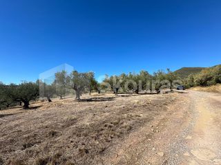 Αγροτεμάχια 48.015,73 τ.μ. για πώληση, Μεσσηνία, Ιθώμης-thumb-18