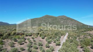 Αγροτεμάχια 48.015,73 τ.μ. για πώληση, Μεσσηνία, Ιθώμης-thumb-1