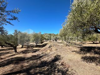 Αγροτεμάχια 48.015,73 τ.μ. για πώληση, Μεσσηνία, Ιθώμης-thumb-24