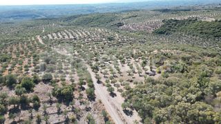 Αγροτεμάχια 48.015,73 τ.μ. για πώληση, Μεσσηνία, Ιθώμης-thumb-22