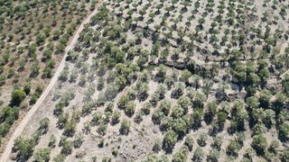 Αγροτεμάχια 48.015,73 τ.μ. για πώληση, Μεσσηνία, Ιθώμης-thumb-21