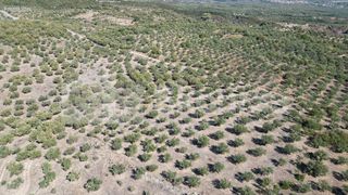 Αγροτεμάχια 48.015,73 τ.μ. για πώληση, Μεσσηνία, Ιθώμης-thumb-23