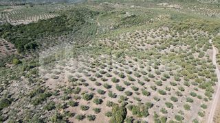 Αγροτεμάχια 48.015,73 τ.μ. για πώληση, Μεσσηνία, Ιθώμης-thumb-15