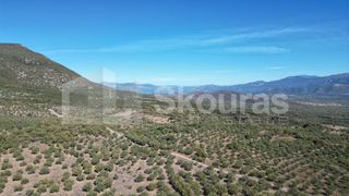 Αγροτεμάχια 48.015,73 τ.μ. για πώληση, Μεσσηνία, Ιθώμης-thumb-26