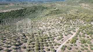 Αγροτεμάχια 48.015,73 τ.μ. για πώληση, Μεσσηνία, Ιθώμης-thumb-16