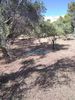 Land plot 780sqm for sale-Saronida