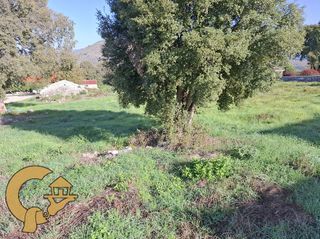 Οικόπεδο 2.000 τ.μ. για πώληση, Ν. Ιωαννίνων, Πασσαρώνα-thumb-8