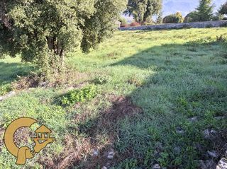 Οικόπεδο 2.000 τ.μ. για πώληση, Ν. Ιωαννίνων, Πασσαρώνα-thumb-7