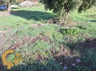 Οικόπεδο 2.000 τ.μ. για πώληση, Ν. Ιωαννίνων, Πασσαρώνα-thumb-6